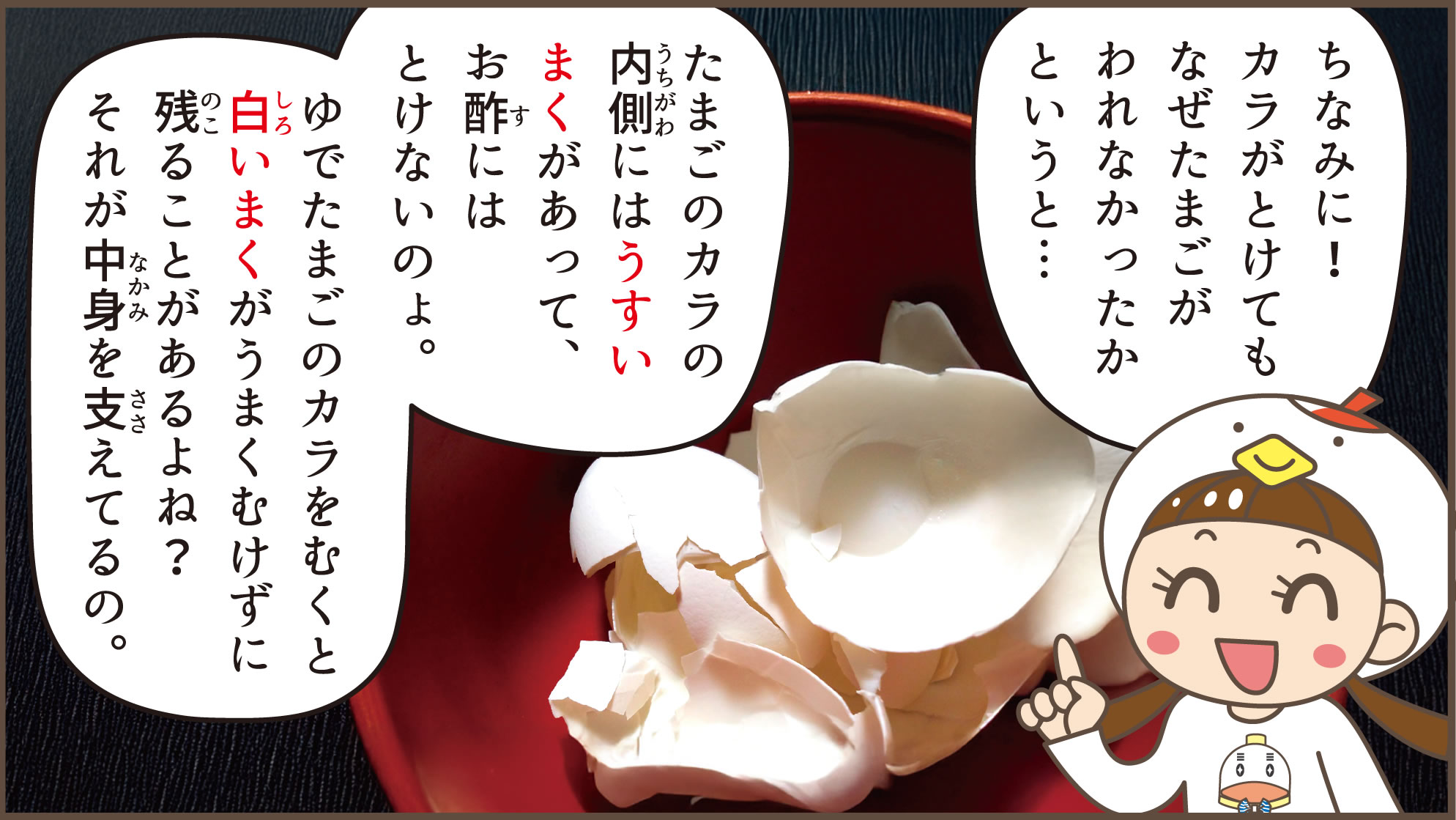 スケルトン卵が割れなかった理由