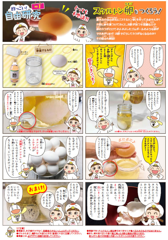 スケルトン卵ダウンロード用PDF