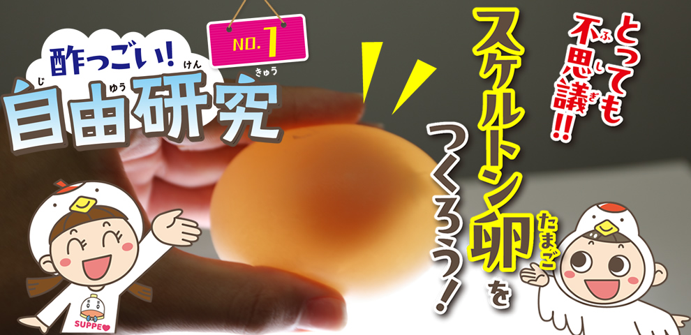 夏休み自由研究